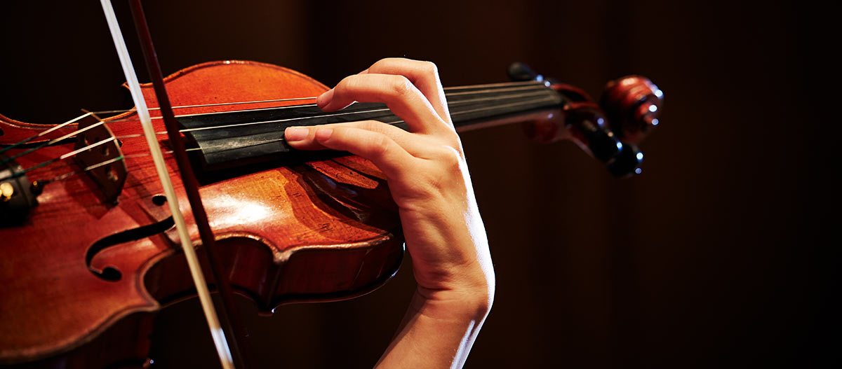 Hand on the violin
